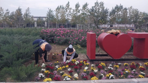 В Туркестане высажено более 300 тысяч саженцев деревьев