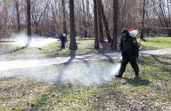 Колоссальное нашествие комаров и клещей ждут в России из-за холодной зимы