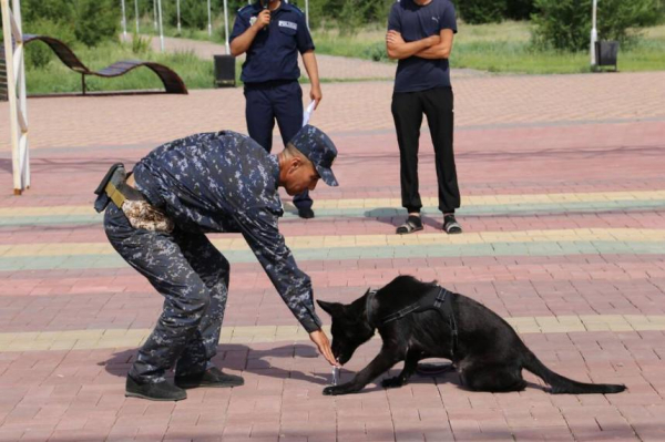 Около 200 преступлений помогли раскрыть служебные собаки в Актюбинской области