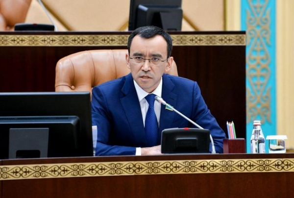 Маулен Ашимбаев поставил под сомнение эффективность СЭЗ
