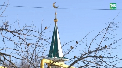 Полевой против домового: в КФУ рассказали, какие воробьи выигрывают в городах РТ