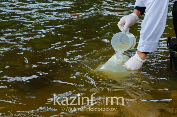 Воду и песок на пляжах проверили санврачи в СКО