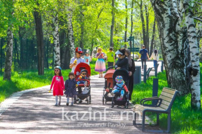 Еще два этапа обработки деревьев от клопов проведут в Алматы